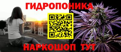 ECSTASY Будённовск