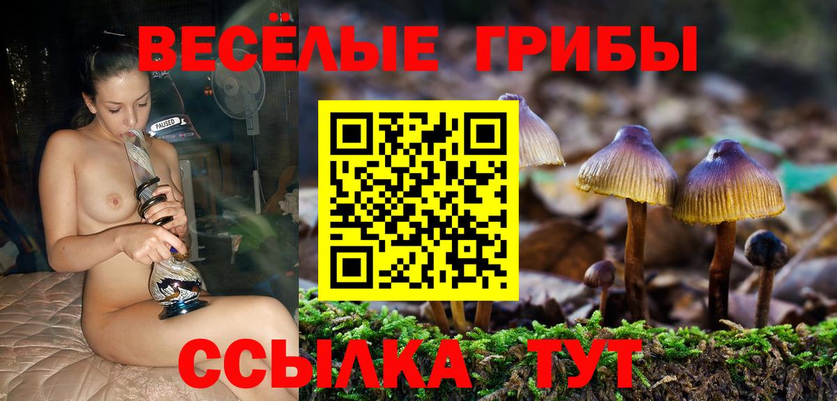 Галлюциногенные грибы мицелий  Псилоцибиновые грибы прущие грибы  Острогожск  Вход с VPN 